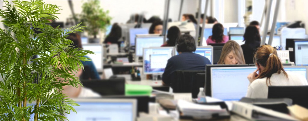 Sitel recruta 150 colaboradores para os dois centros de Lisboa