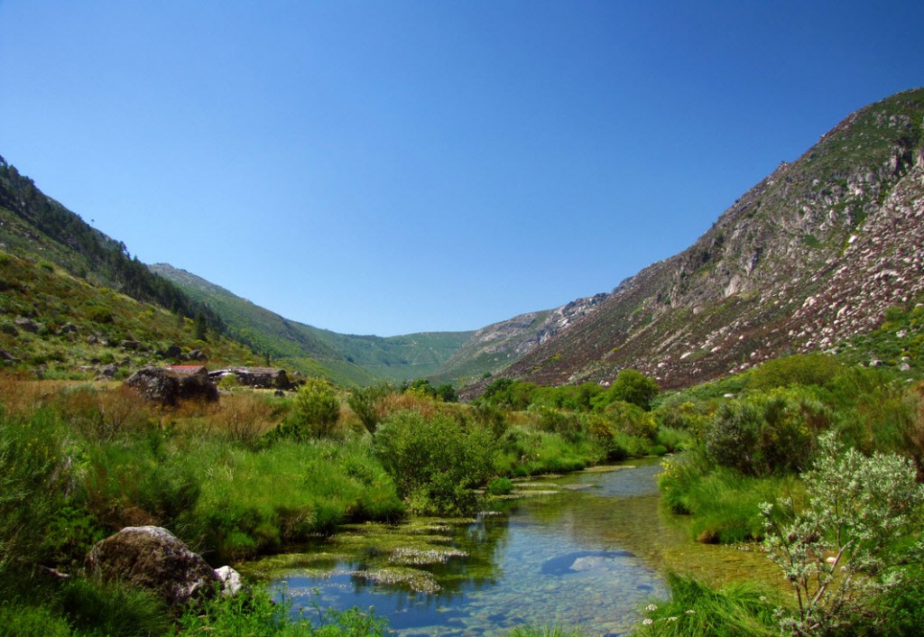 Politécnico da Guarda dinamiza candidatura do Geoparque Estrela