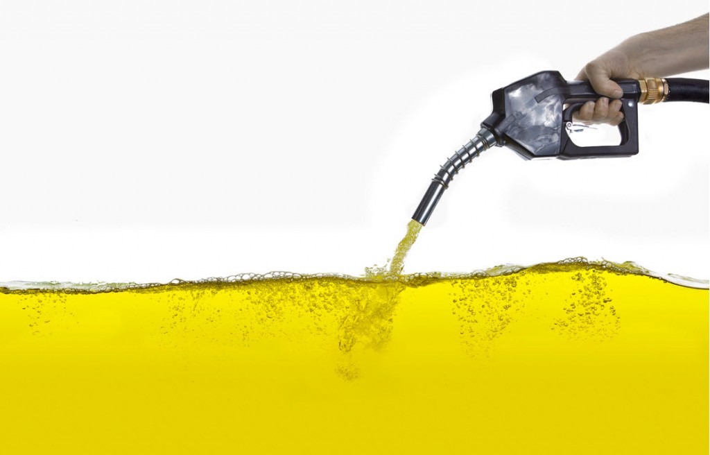 Investigadora portuguesa premiada com tese sobre pegada ambiental do biodiesel