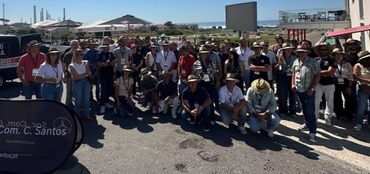 Soc. Com. C. Santos e Petronas homenageiam mecânicos em corrida de karting